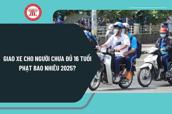 Giao xe cho người chưa đủ 16 tuổi phạt bao nhiêu 2025? Lỗi giao xe cho người chưa đủ tuổi bị trừ điểm không?