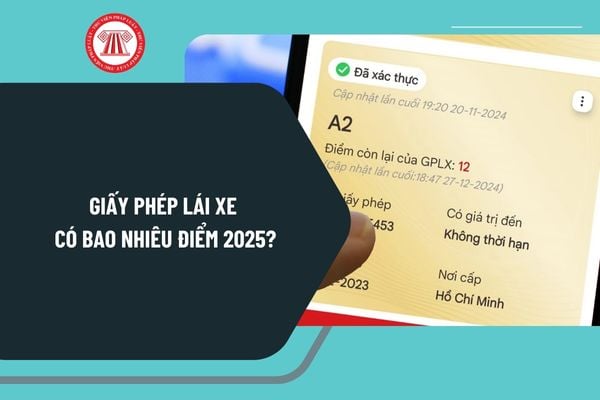 Giấy phép lái xe có bao nhiêu điểm 2025? Xem điểm giấy phép lái xe ở đâu? Hướng dẫn xem điểm giấy phép lái xe?