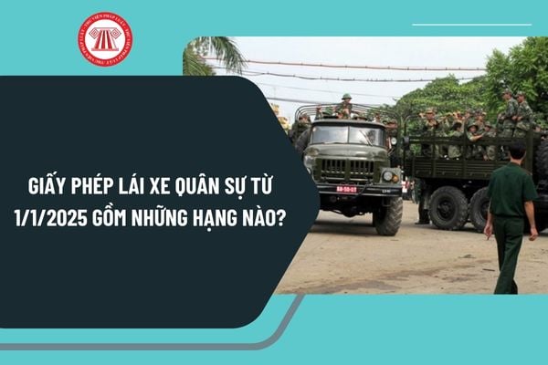 Giấy phép lái xe quân sự từ ngày 1/1/2025 gồm những hạng nào? Thời hạn sử dụng Giấy phép lái xe quân sự bao lâu?