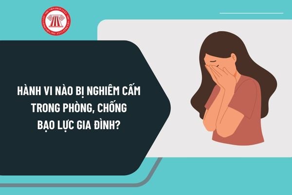 Hành vi nào bị nghiêm cấm trong phòng, chống bạo lực gia đình? Hành vi bạo lực gia đình gồm những hành vi nào?