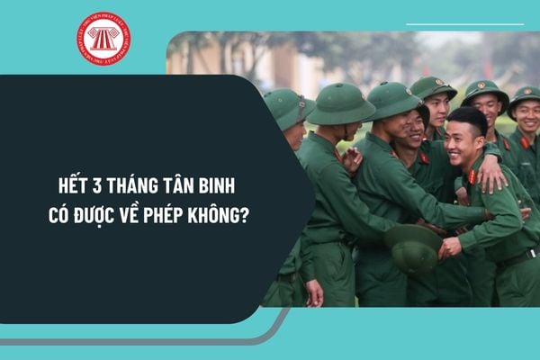 Hết 3 tháng tân binh có được về phép không? Hết 3 tháng tân binh có được sử dụng điện thoại không?