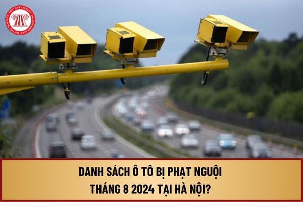 Danh sách ô tô bị phạt nguội tháng 8 2024 do Công an TP Hà Nội công bố chi tiết như thế nào? 