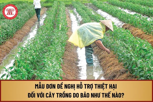 Mẫu Đơn đề nghị hỗ trợ thiệt hại đối với cây trồng do bão như thế nào? Mức hỗ trợ thiệt hại cây trồng do bão số 3 ra sao?