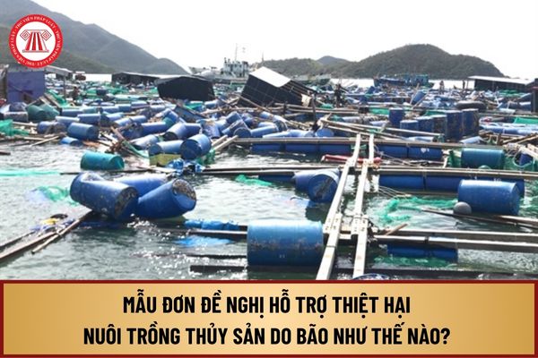 Mẫu Đơn đề nghị hỗ trợ thiệt hại nuôi trồng thủy sản do bão như thế nào? Mức hỗ trợ thiệt hại thuỷ sản do bão số 3 là bao nhiêu?