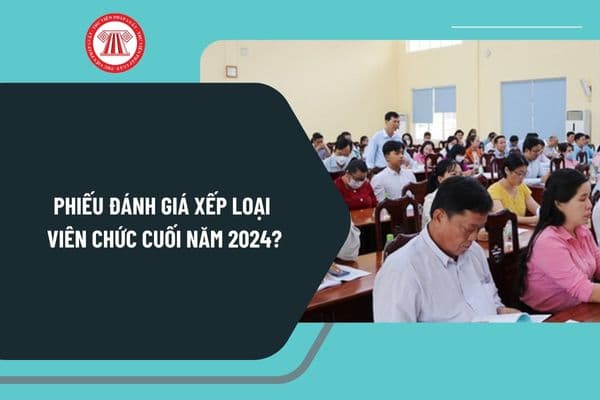 Phiếu đánh giá xếp loại viên chức cuối năm 2024? Tải về mẫu phiếu đánh giá xếp loại viên chức cuối năm 2024 ở đâu?