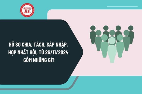 Hồ sơ chia, tách, sáp nhập, hợp nhất hội, từ ngày 26/11/2024 theo Nghị định 126 gồm những gì?