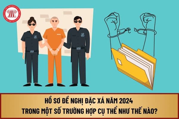 Hồ sơ đề nghị đặc xá năm 2024 trong một số trường hợp cụ thể theo Hướng dẫn 88/HD-HĐTVĐX năm 2024 như thế nào?