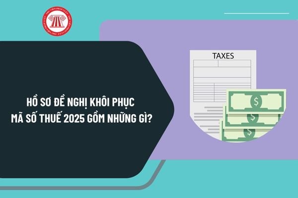 Hồ sơ đề nghị khôi phục mã số thuế 2025 gồm những gì? Xử lý hồ sơ khôi phục mã số thuế và trả kết quả ra sao?