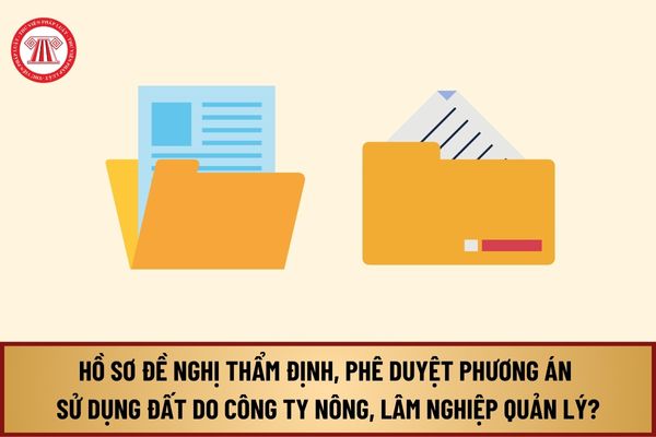 Hồ sơ đề nghị thẩm định, phê duyệt phương án sử dụng đất từ 1/8/2024 do công ty nông, lâm nghiệp quản lý ra sao?