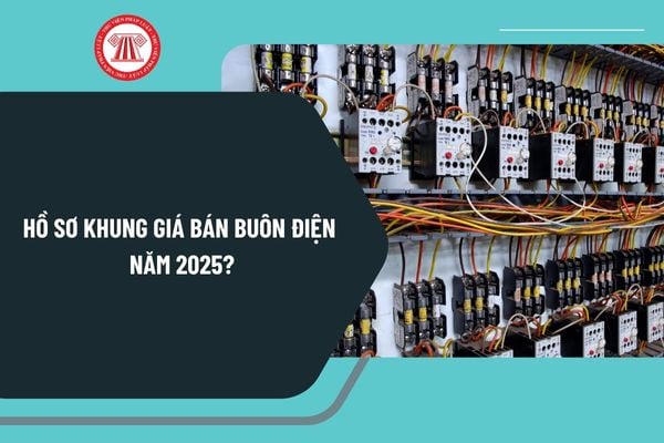 Hồ sơ khung giá bán buôn điện năm 2025? Trình tự, thủ tục phê duyệt khung giá bán buôn điện như thế nào?