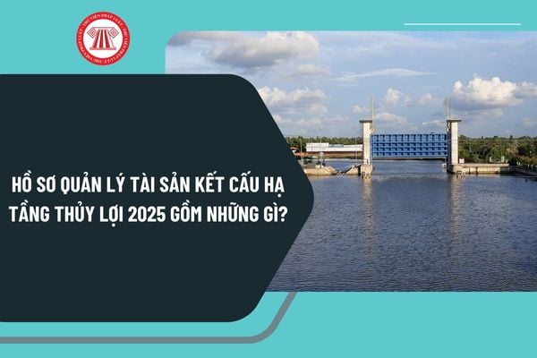 Hồ sơ quản lý tài sản kết cấu hạ tầng thủy lợi 2025 gồm những gì? Kế toán tài sản kết cấu hạ tầng thủy lợi ra sao?