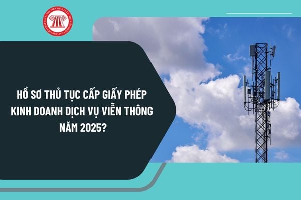 Hồ sơ thủ tục cấp giấy phép kinh doanh dịch vụ viễn thông năm 2025 theo Nghị định 163 gồm những gì?