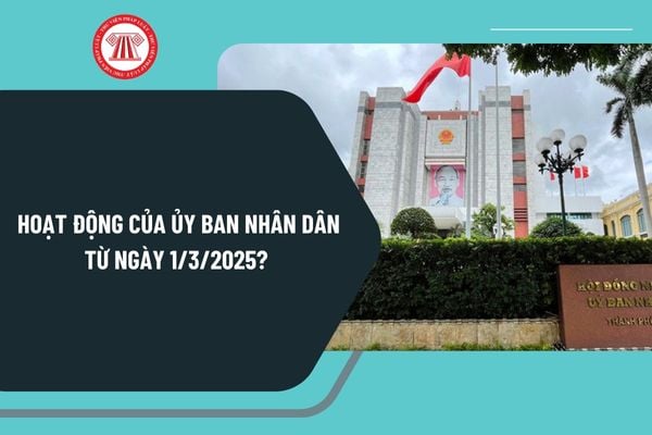 Hoạt động của Ủy ban nhân dân từ ngày 1/3/2025? Giao quyền Chủ tịch Ủy ban nhân dân như thế nào?