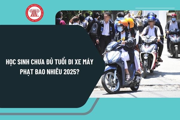 Học sinh chưa đủ tuổi đi xe máy phạt bao nhiêu 2025? Học sinh chưa đủ tuổi đi xe máy 50cm3 trở lên phạt bao nhiêu?