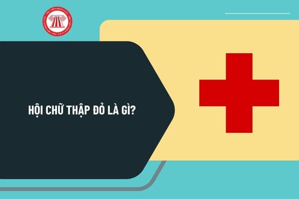 Hội Chữ thập đỏ là gì? Hội Chữ thập đỏ Việt Nam tổ chức và hoạt động theo nguyên tắc như thế nào?