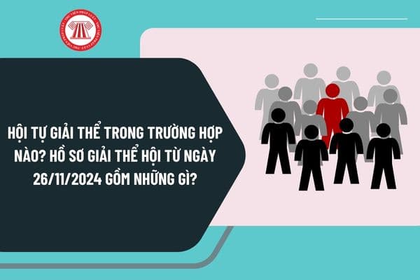 Hội tự giải thể trong trường hợp nào? Hồ sơ giải thể Hội từ ngày 26/11/2024 theo Nghị định 126 gồm những gì?