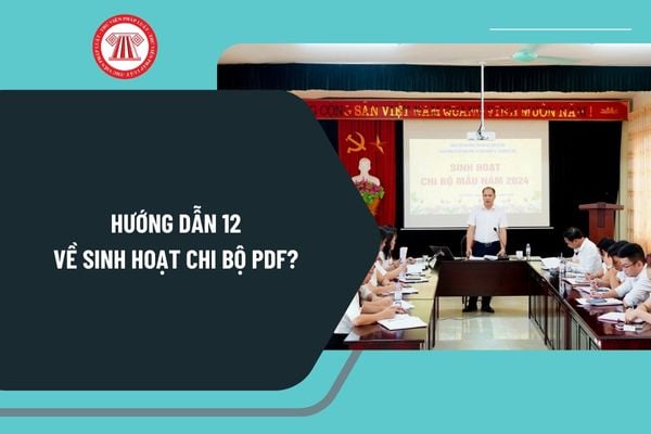 Hướng dẫn 12 về sinh hoạt chi bộ PDF mới nhất? Tải về Hướng dẫn 12-HD/BTCTW file word ở đâu?