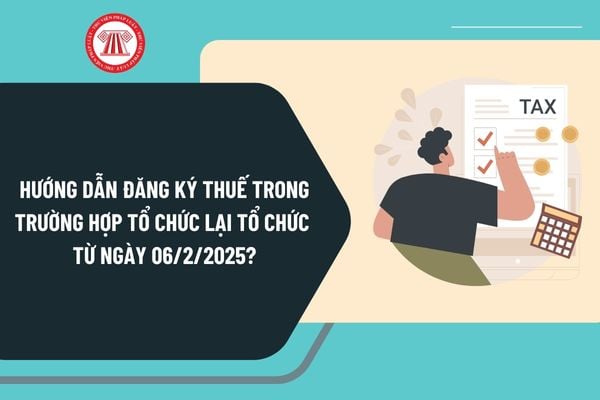 Hướng dẫn đăng ký thuế trong trường hợp tổ chức lại tổ chức từ ngày 06/2/2025 theo Thông tư 86 như thế nào?