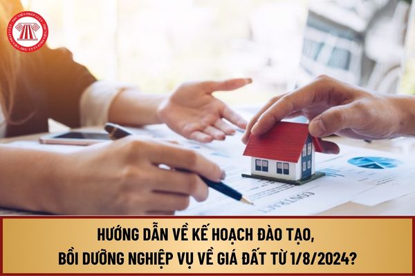 Hướng dẫn về kế hoạch đào tạo, bồi dưỡng nghiệp vụ về giá đất từ 1/8/2024 theo Thông tư 12/2024 như thế nào?