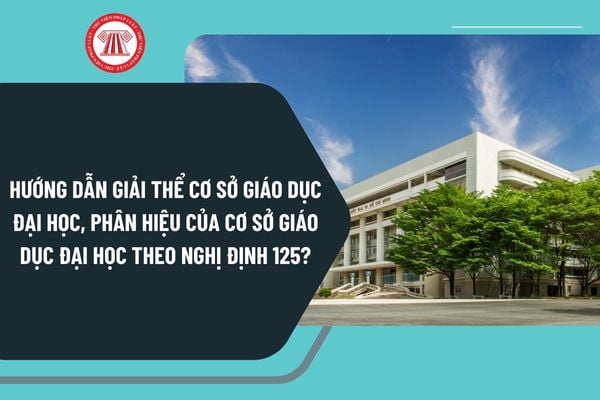 Hướng dẫn giải thể cơ sở giáo dục đại học, phân hiệu của cơ sở giáo dục đại học theo Nghị định 125 như thế nào?