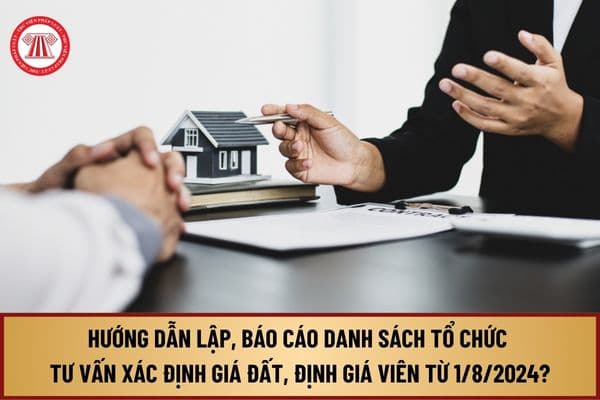 Hướng dẫn việc lập, báo cáo danh sách tổ chức tư vấn xác định giá đất, định giá viên từ 1/8/2024 như thế nào?