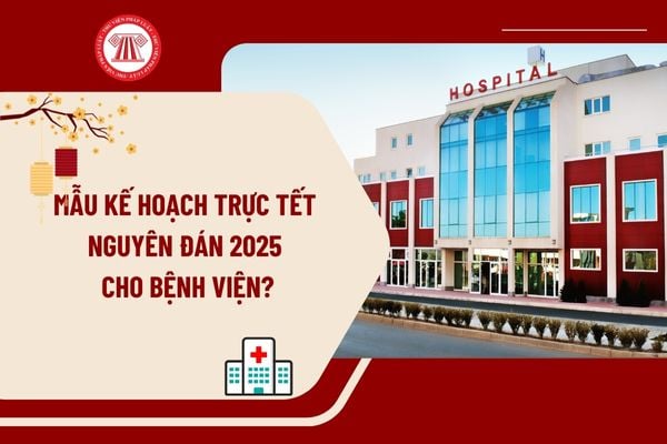 Mẫu kế hoạch trực Tết Nguyên đán 2025 cho bệnh viện chi tiết? Tải mẫu kế hoạch trực Tết Nguyên đán 2025 cho bệnh viện?