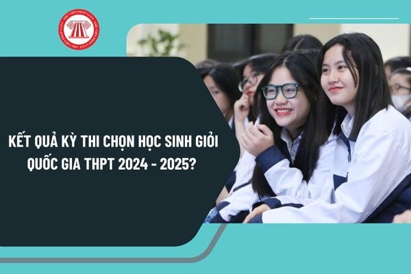 Kết quả Kỳ thi chọn học sinh giỏi quốc gia THPT năm học 2024 2025? Thi học sinh giỏi quốc gia có bao nhiêu giải?