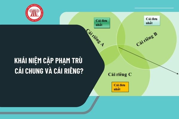 Khái niệm cặp phạm trù cái chung và cái riêng? Ví dụ cái chung, cái riêng? Ý nghĩa phương pháp luận cái chung, cái riêng?