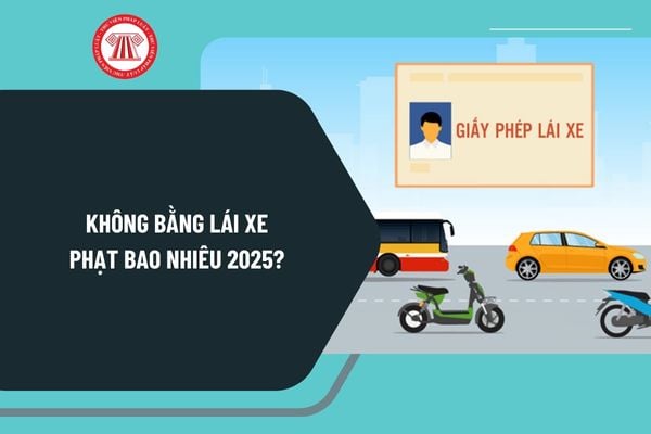 Không bằng lái xe phạt bao nhiêu 2025? Chạy xe máy, xe ô tô không mang bằng lái xe bị phạt bao nhiêu tiền?