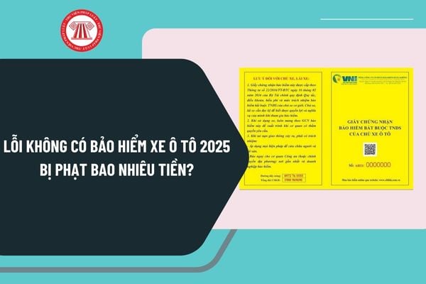 Lỗi không có bảo hiểm xe ô tô 2025 bị phạt bao nhiêu tiền? Phí mua bảo hiểm xe ô tô 2025 là bao nhiêu?