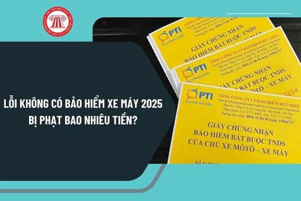 Lỗi không có bảo hiểm xe máy 2025 bị phạt bao nhiêu tiền? Phí bảo hiểm xe máy năm 2025 là bao nhiêu?