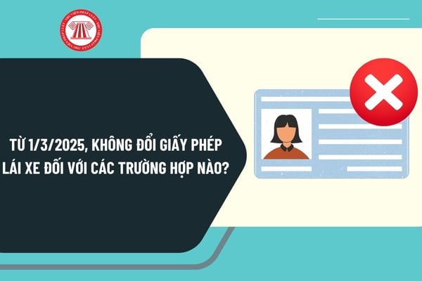 Từ 1/3/2025, không đổi giấy phép lái xe đối với các trường hợp nào? Yêu cầu đối với việc đổi giấy phép lái xe ra sao?