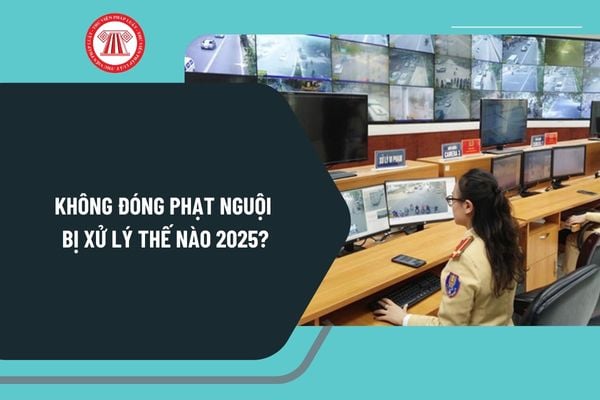 Không đóng phạt nguội bị xử lý thế nào 2025? Cách kiểm tra phạt nguội online toàn quốc chi tiết thế nào?