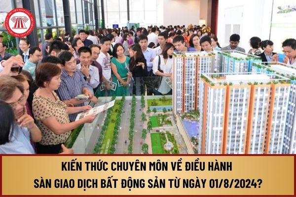 Chuyên đề và nội dung của kiến thức chuyên môn về điều hành sàn giao dịch bất động sản từ ngày 01/8/2024 gồm những gì?