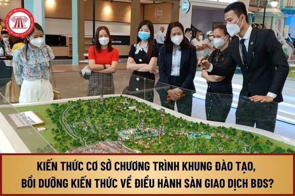 Kiến thức cơ sở chương trình khung đào tạo, bồi dưỡng kiến thức về điều hành sàn giao dịch bất động sản từ 1/8/2024 ra sao?