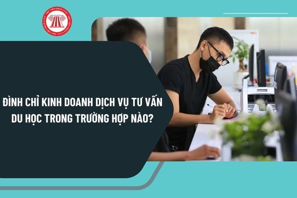 Đình chỉ kinh doanh dịch vụ tư vấn du học trong trường hợp nào? Điều kiện kinh doanh dịch vụ tư vấn du học ra sao?