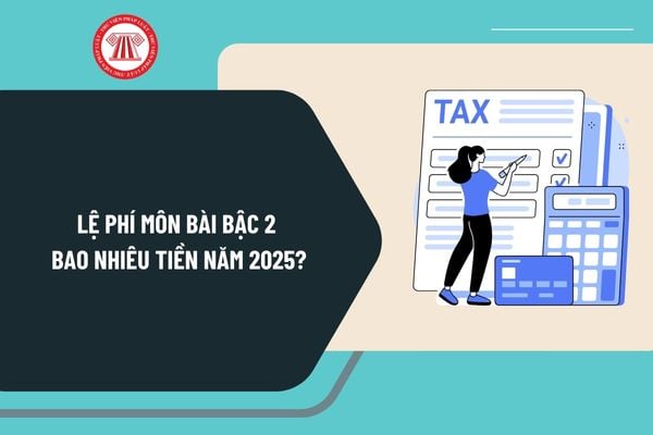 Lệ phí môn bài bậc 2 bao nhiêu tiền năm 2025? Tính tiền chậm nộp thuế môn bài 2025 ra sao?