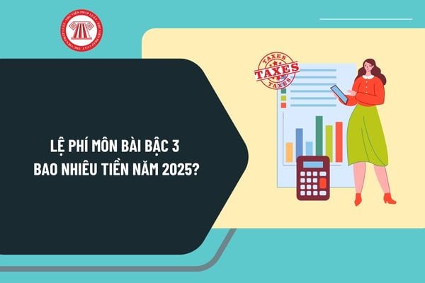 Lệ phí môn bài bậc 3 bao nhiêu tiền 2025? Hướng dẫn nộp lệ phí môn bài năm 2025 online như thế nào?