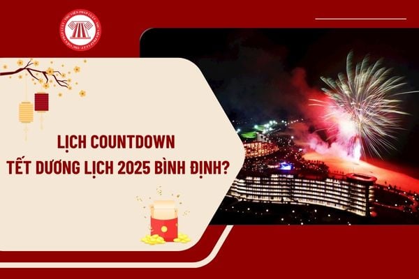 Lịch Countdown Tết Dương lịch 2025 Bình Định? Tết Dương lịch 2025 người lao động được nghỉ mấy ngày?