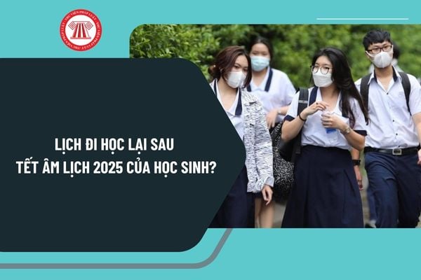 Lịch đi học lại sau Tết Âm lịch 2025 của học sinh? Lịch đi học lại sau Tết Âm lịch 2025 của học sinh cả nước ra sao?