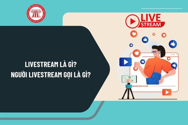 Livestream là gì? Người livestream gọi là gì? Tài khoản mạng xã hội đã xác thực mới được livestream đúng không?