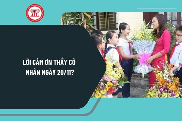 Lời cảm ơn thầy cô nhân ngày 20 11? Lời cảm ơn thầy cô ngày 20 11 của học sinh ý nghĩa nhất?