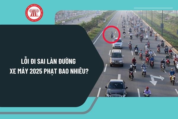 Lỗi đi sai làn đường xe máy 2025 phạt bao nhiêu? Người điều khiển xe máy chuyên dùng đi sai làn đường bị phạt bao nhiêu?