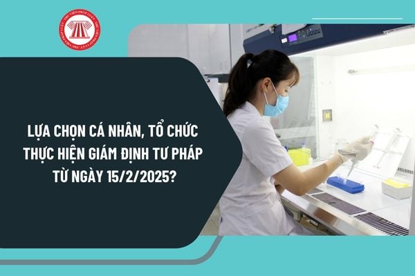 Lựa chọn cá nhân, tổ chức thực hiện giám định tư pháp từ ngày 15/2/2025 thực hiện như thế nào?