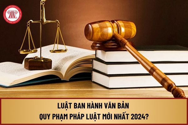 Luật ban hành văn bản quy phạm pháp luật mới nhất 2024? Nguyên tắc xây dựng, ban hành văn bản quy phạm pháp luật ra sao?  