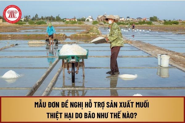 Mẫu Đơn đề nghị hỗ trợ sản xuất muối thiệt hại do bão như thế nào? Mức hỗ trợ thiệt hại đối với sản xuất muối do bão số 3 ra sao?