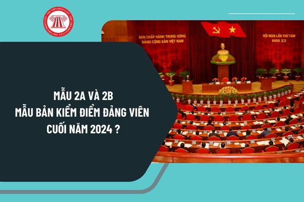 2 mẫu bản kiểm điểm Đảng viên cuối năm 2024 mẫu 2A và 2B viết khác nhau thế nào? Tải 2 mẫu kiểm điểm Đảng viên cuối năm 2024 ở đâu?