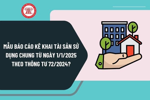 Mẫu báo cáo kê khai tài sản sử dụng chung từ ngày 1/1/2025 theo Thông tư 72/2024 như thế nào?