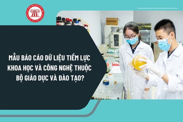 Mẫu báo cáo dữ liệu tiềm lực khoa học và công nghệ thuộc Bộ Giáo dục và Đào tạo theo Thông tư 15 như thế nào?