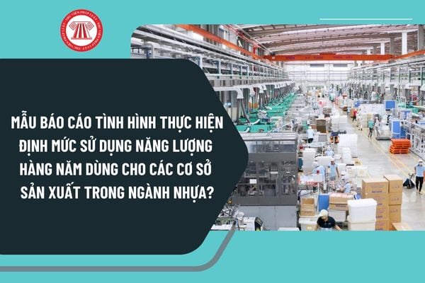 Mẫu báo cáo tình hình thực hiện định mức sử dụng năng lượng hàng năm dùng cho các cơ sở sản xuất trong ngành nhựa mới nhất?